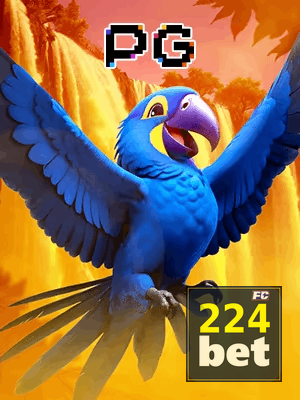 224BET bônus — cashback 15 por cento e níveis VIP