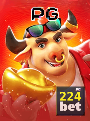 224BET cadastro — tela de formulário no app oficial