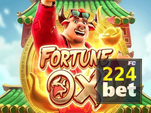 224BET login — painel de entrada no app oficial